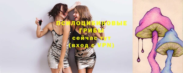 СК Богородицк