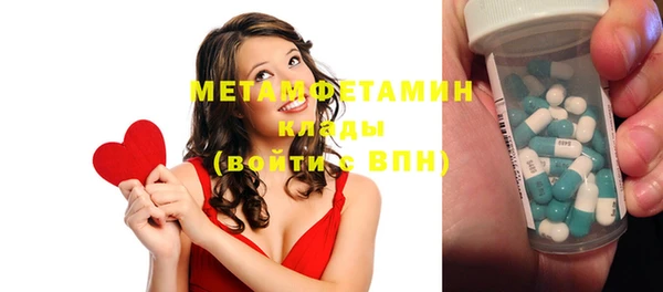 индика Козельск