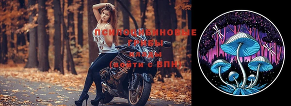 мдпв Богданович